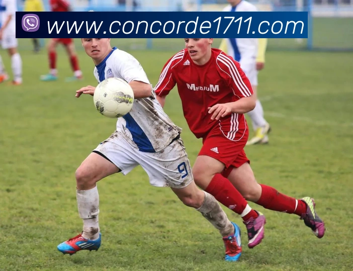 对战数据统计